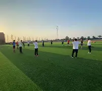 最佳阵容教练组合搭配参考 最佳阵容教练组合搭配参考